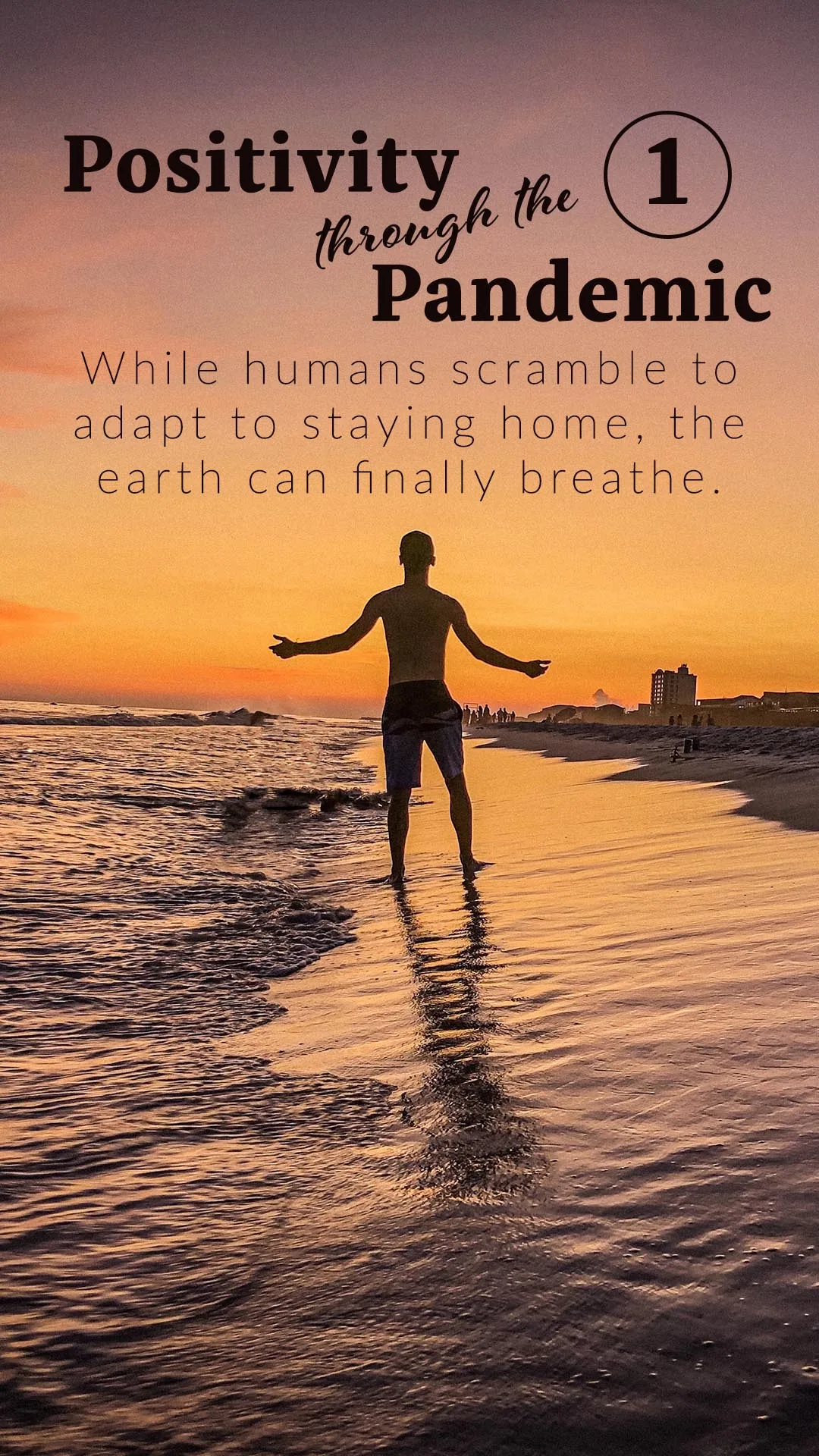 Positivity through the Pandemic #1: While humans scramble to adapt to staying home, the earth can finally breathe