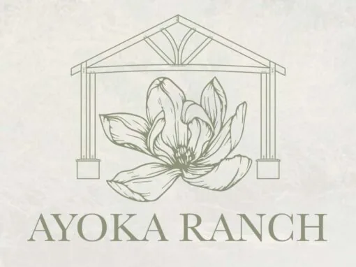 Ayoka Ranch website by Pioneer Media