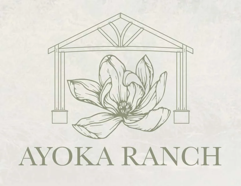 Ayoka Ranch website design by Pioneer Media