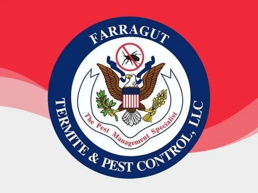 Farragut Termite & Pest Control website by Pioneer Media