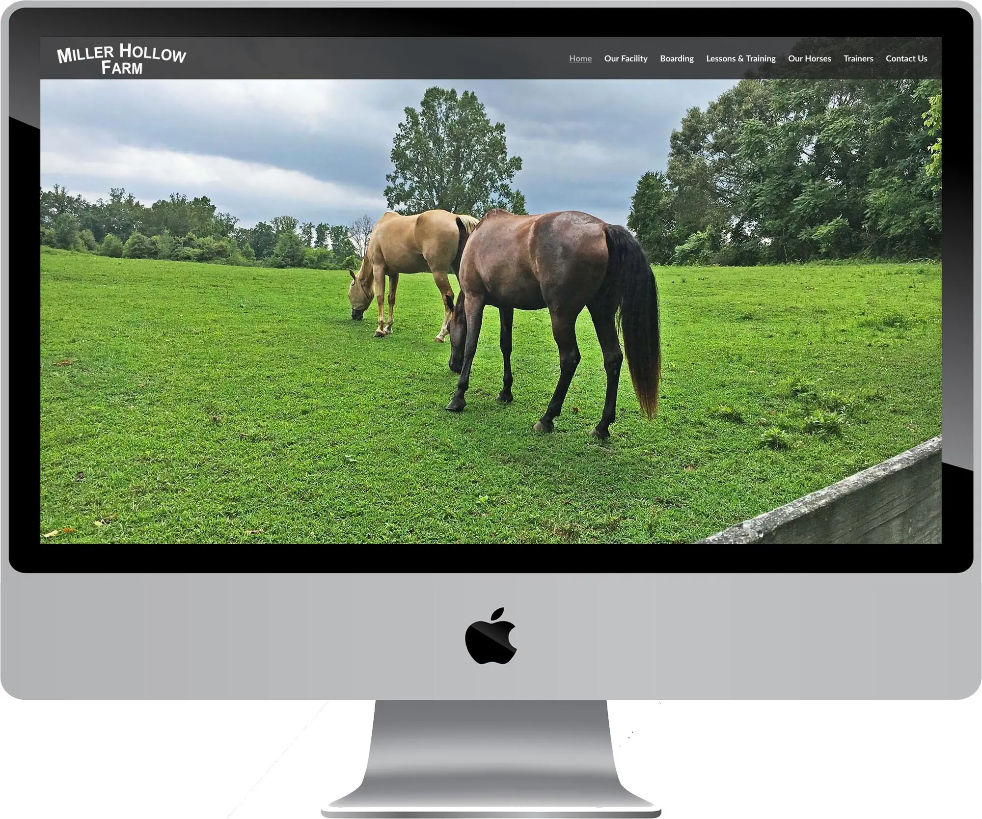 Miller Hollow Farm website design on a desktop computer
