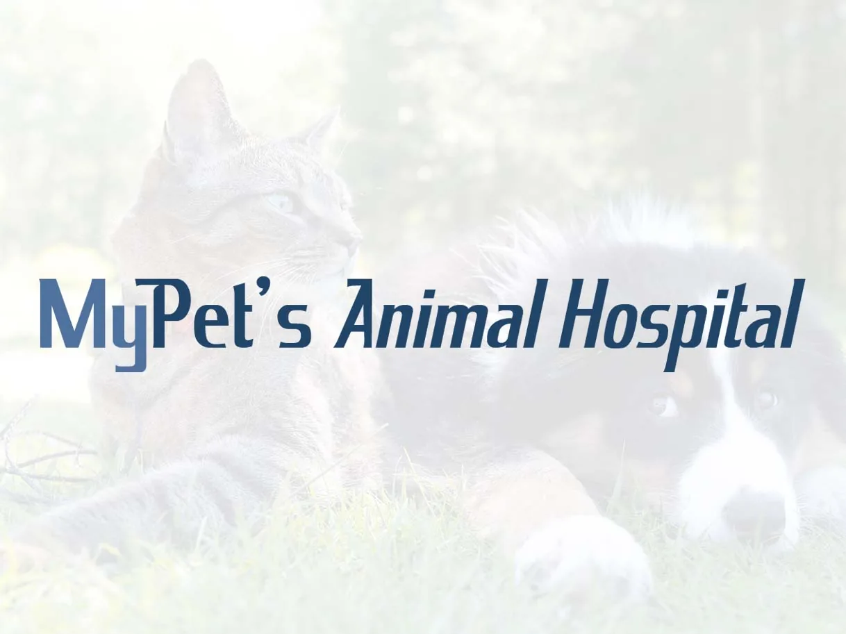 My Pet’s Animal Hospital website design by Pioneer Media