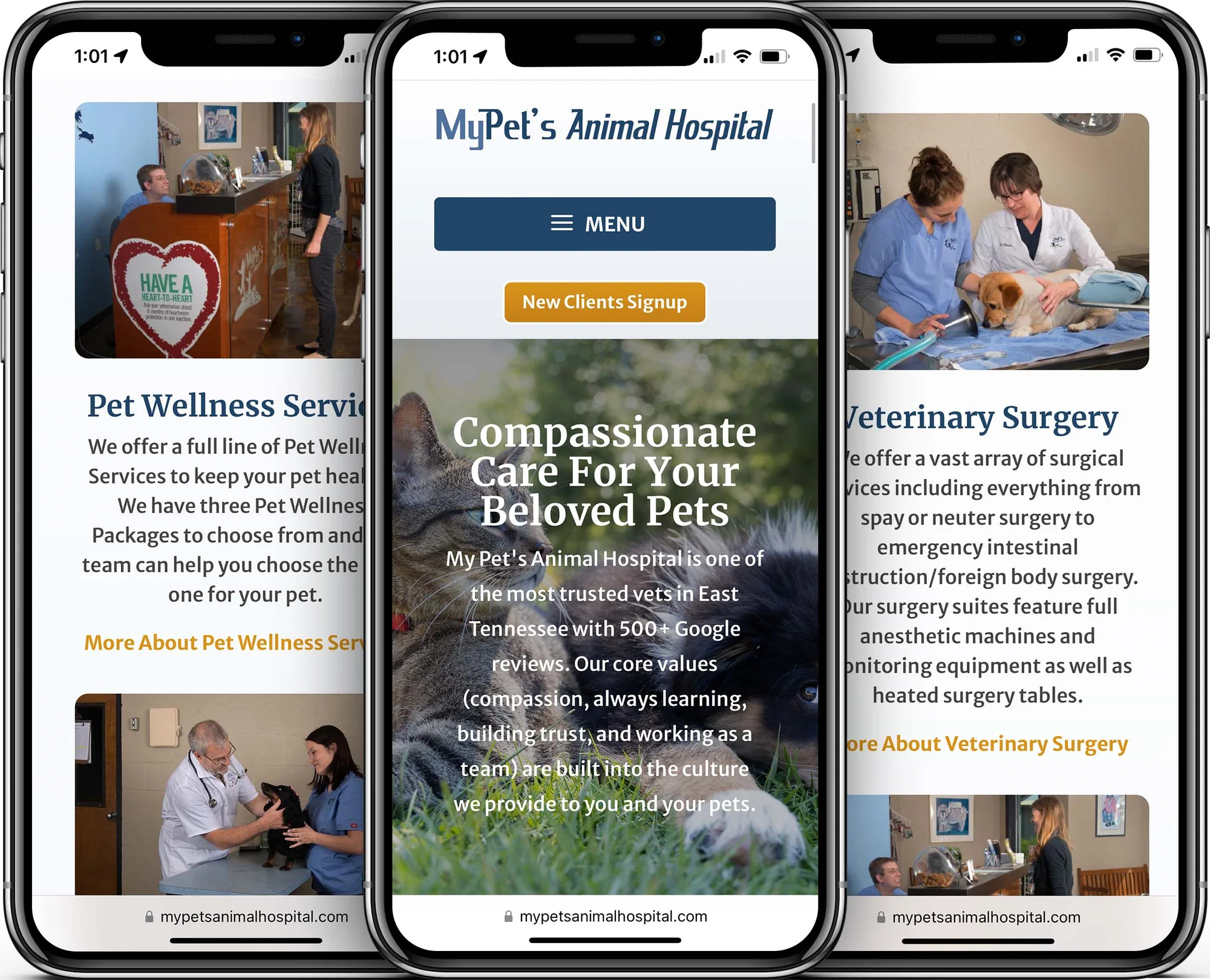 My Pet’s Animal Hospital mobile-friendly website design