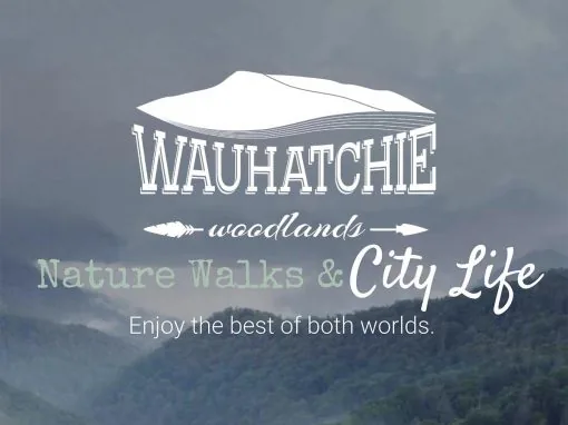 Wauhatchie Woodlands website by Pioneer Media