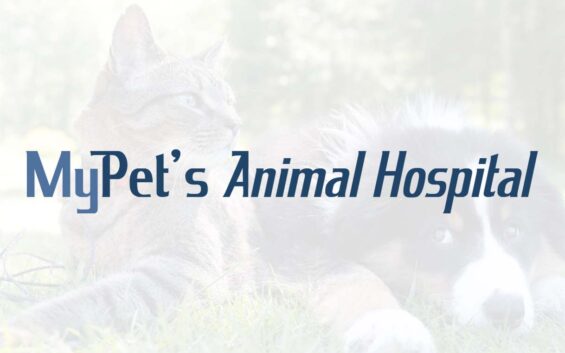 My Pet’s Animal Hospital